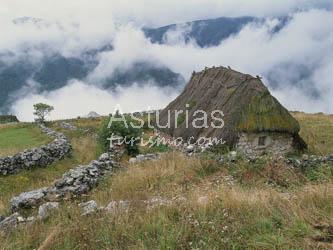 foto concejo