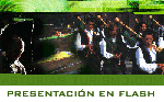 Presentaci�n en Flash
